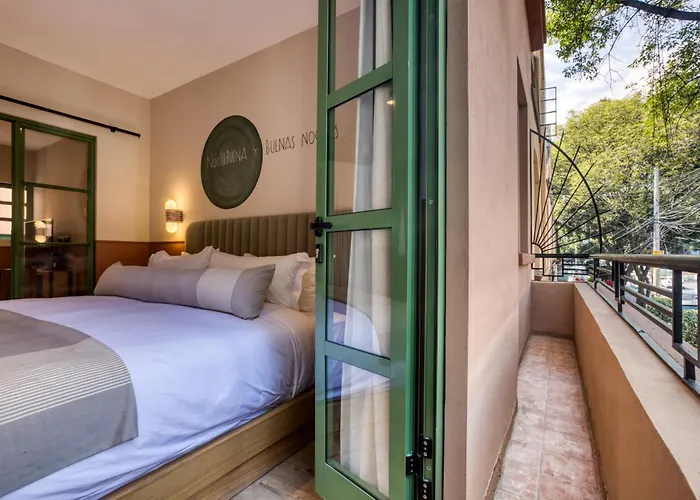 Casa Oliva Apartment Mexico City